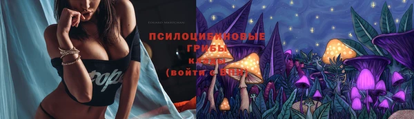 мет Абаза