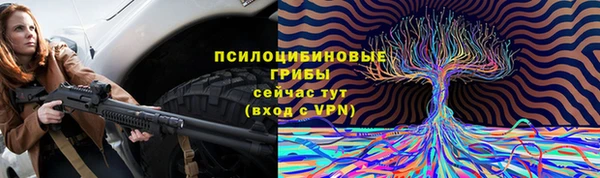 трава Абинск