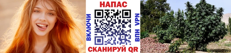 Бошки марихуана VHQ  Ковдор 